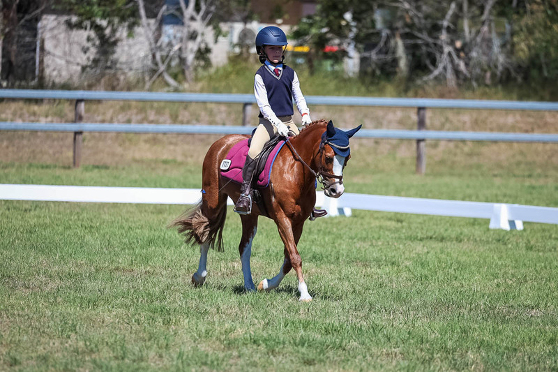 JPC Feb 2026 Dressage-6945.jpg