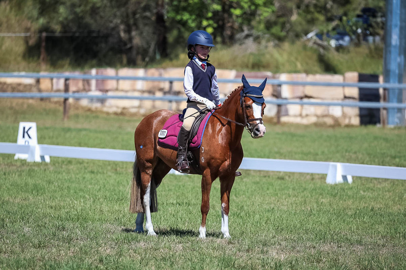 JPC Feb 2026 Dressage-6946.jpg