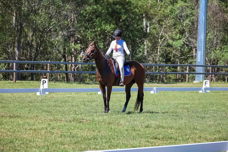 JPC Feb 2026 Dressage-6947.jpg