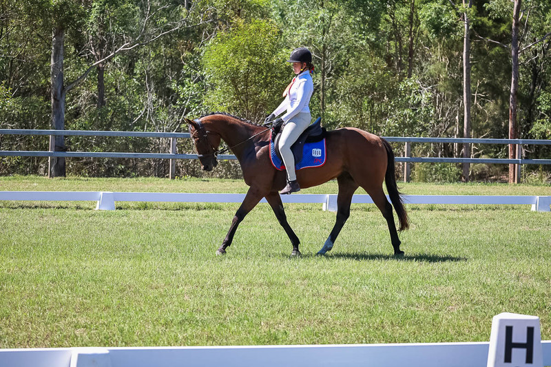 JPC Feb 2026 Dressage-6948.jpg