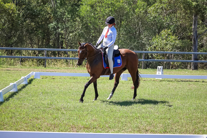 JPC Feb 2026 Dressage-6950.jpg