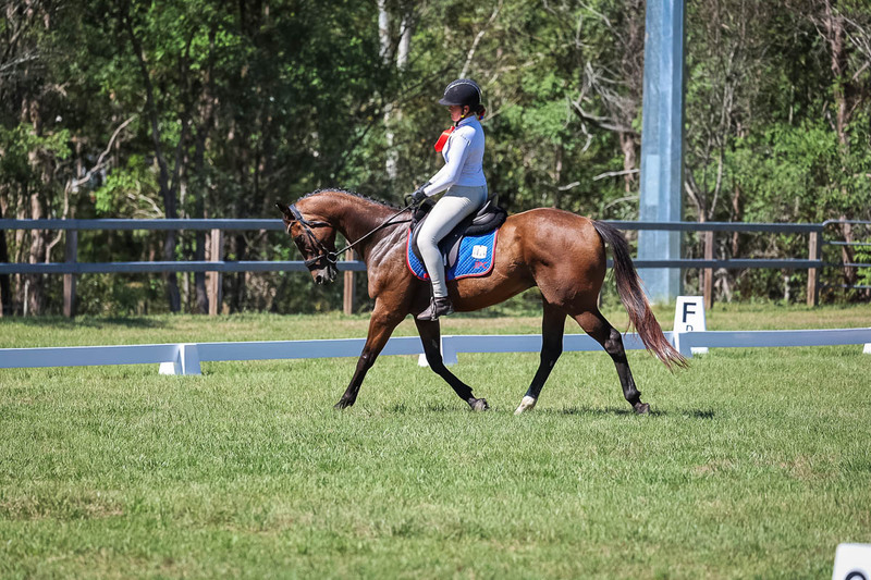 JPC Feb 2026 Dressage-6952.jpg