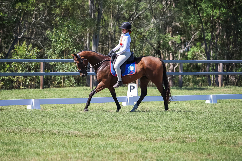 JPC Feb 2026 Dressage-6953.jpg