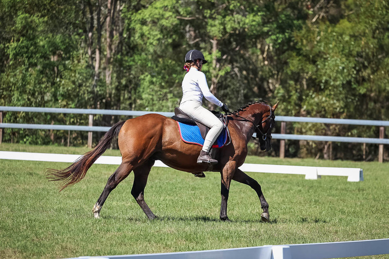 JPC Feb 2026 Dressage-6954.jpg