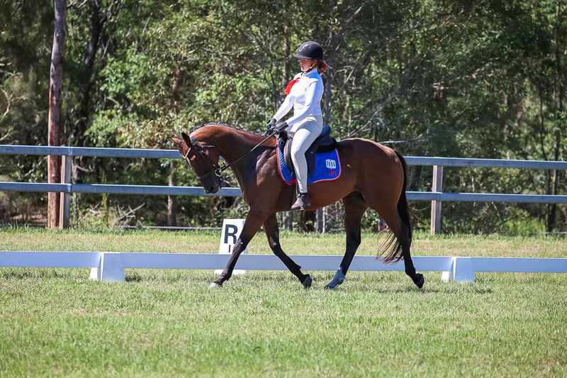 JPC Feb 2026 Dressage-6955.jpg
