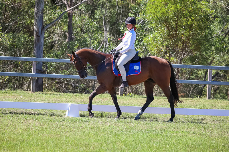 JPC Feb 2026 Dressage-6956.jpg