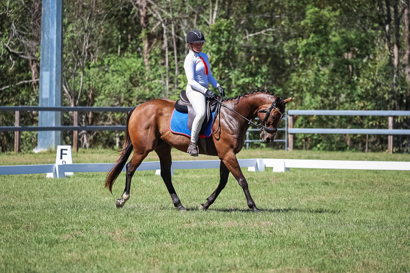 JPC Feb 2026 Dressage-6958.jpg