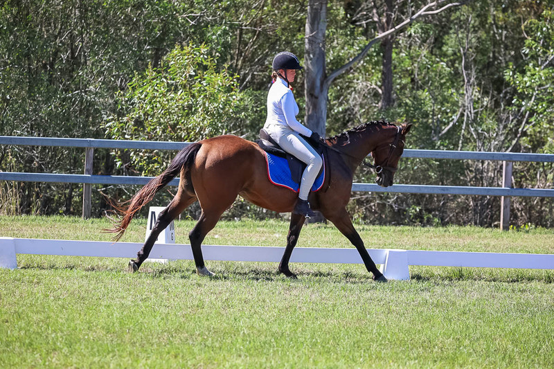 JPC Feb 2026 Dressage-6959.jpg