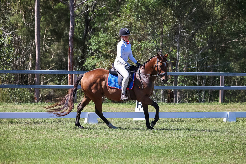 JPC Feb 2026 Dressage-6961.jpg