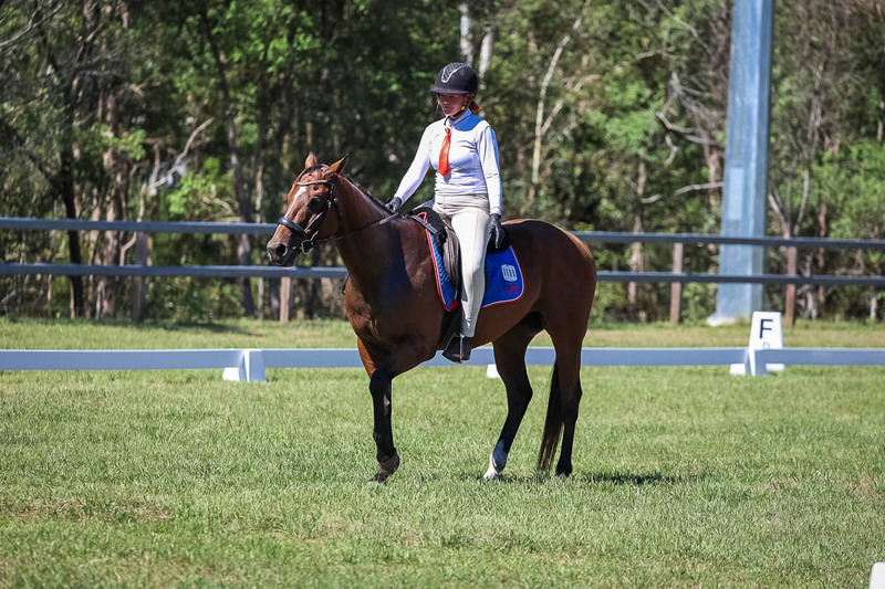 JPC Feb 2026 Dressage-6963.jpg