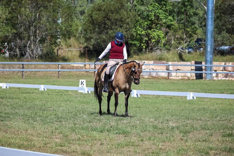 JPC Feb 2026 Dressage-6964.jpg