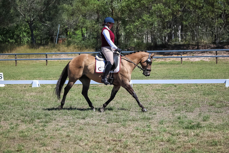 JPC Feb 2026 Dressage-6966.jpg