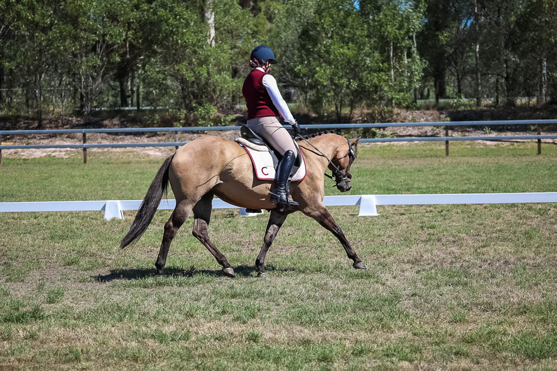 JPC Feb 2026 Dressage-6967.jpg