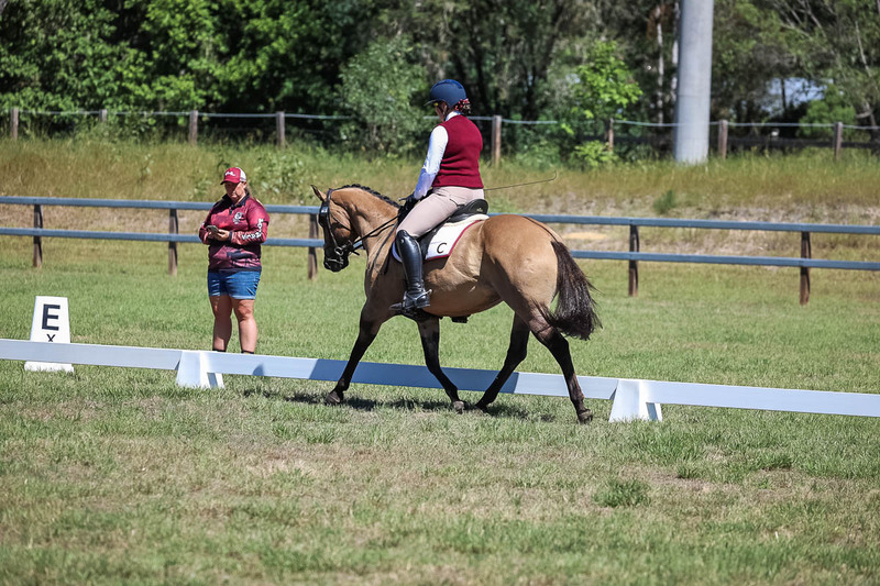 JPC Feb 2026 Dressage-6968.jpg