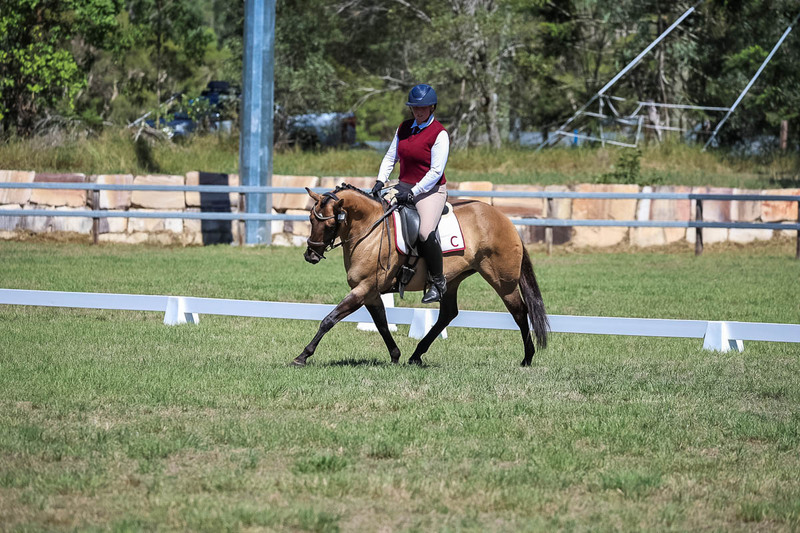 JPC Feb 2026 Dressage-6970.jpg
