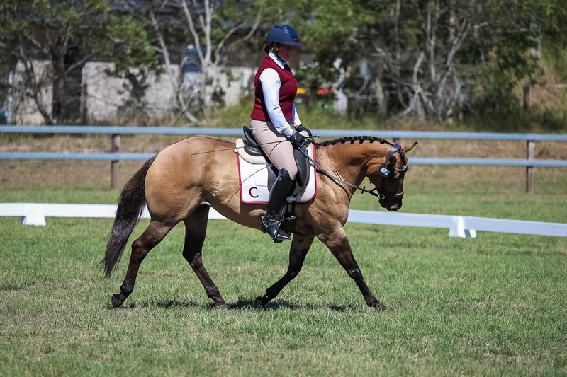 JPC Feb 2026 Dressage-6972.jpg