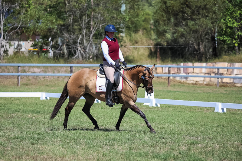 JPC Feb 2026 Dressage-6973.jpg