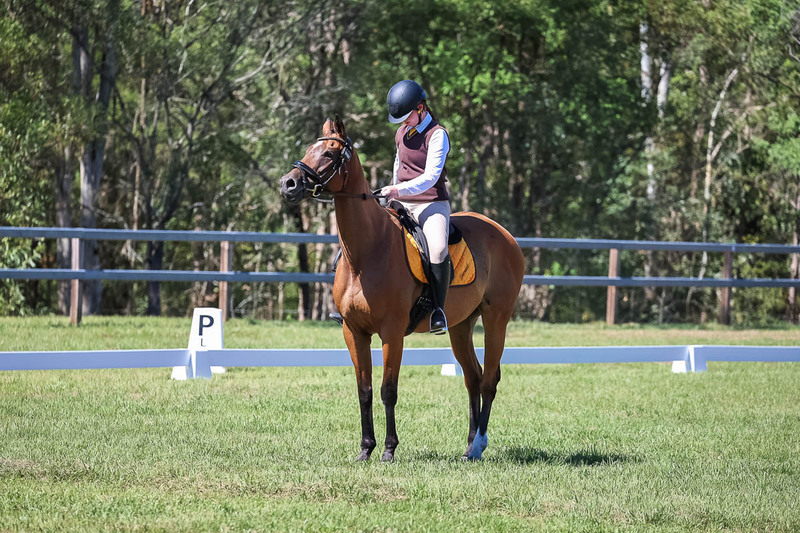 JPC Feb 2026 Dressage-6974.jpg