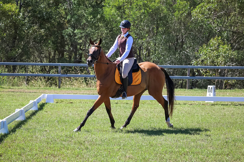 JPC Feb 2026 Dressage-6976.jpg