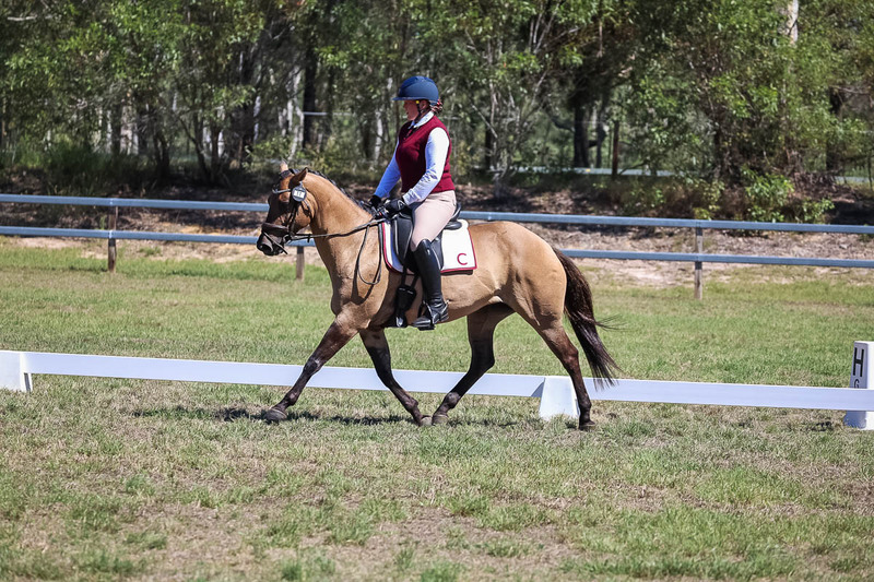 JPC Feb 2026 Dressage-6977.jpg