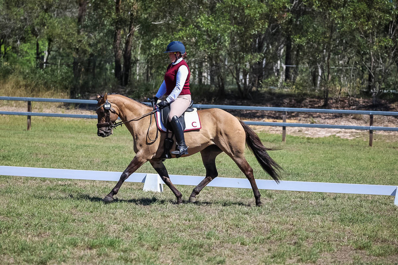 JPC Feb 2026 Dressage-6978.jpg