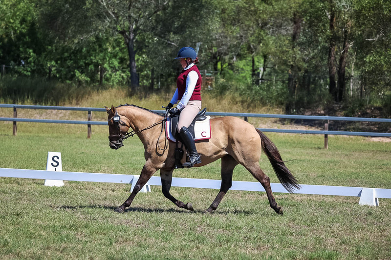 JPC Feb 2026 Dressage-6979.jpg