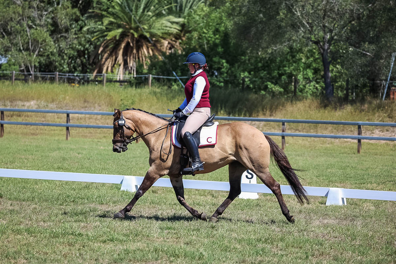 JPC Feb 2026 Dressage-6980.jpg