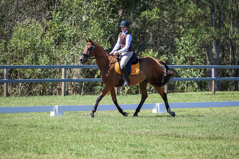 JPC Feb 2026 Dressage-6981.jpg