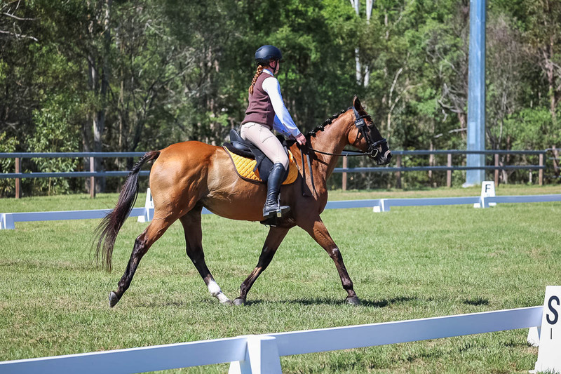 JPC Feb 2026 Dressage-6982.jpg