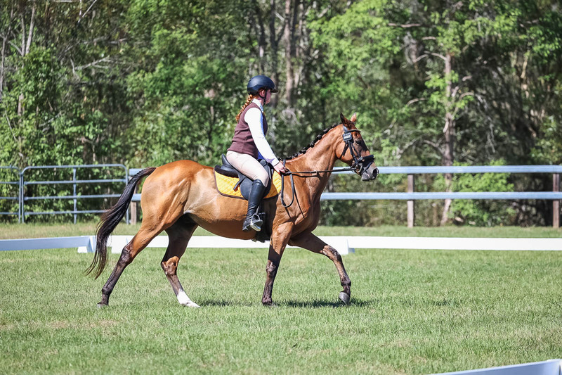 JPC Feb 2026 Dressage-6983.jpg