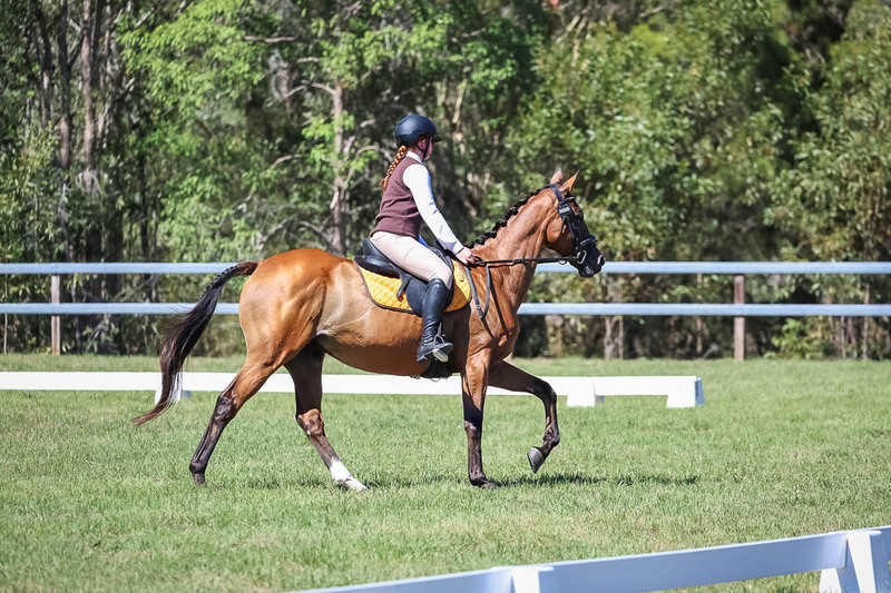 JPC Feb 2026 Dressage-6984.jpg