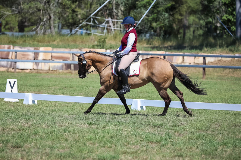 JPC Feb 2026 Dressage-6986.jpg