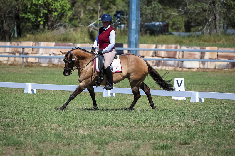 JPC Feb 2026 Dressage-6987.jpg