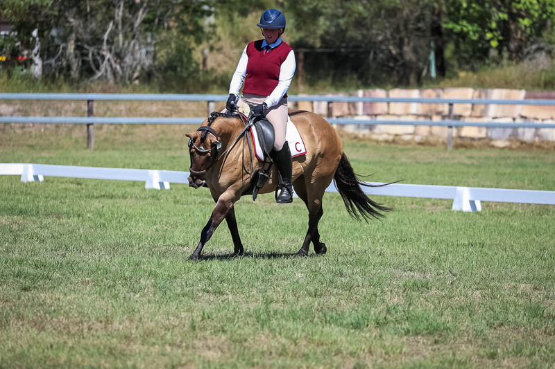 JPC Feb 2026 Dressage-6988.jpg