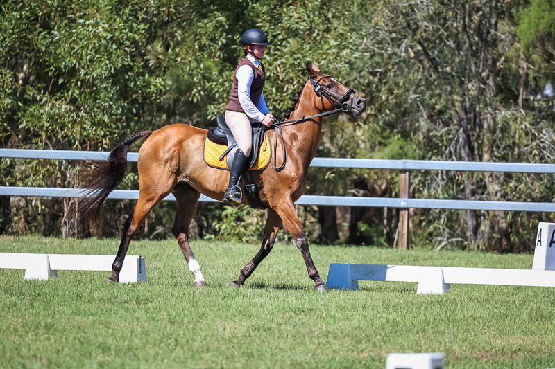 JPC Feb 2026 Dressage-6989.jpg