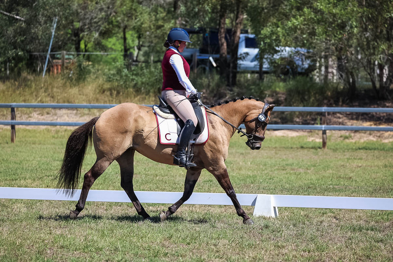 JPC Feb 2026 Dressage-6990.jpg