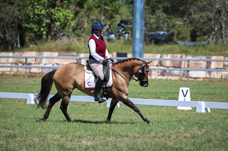 JPC Feb 2026 Dressage-6991.jpg