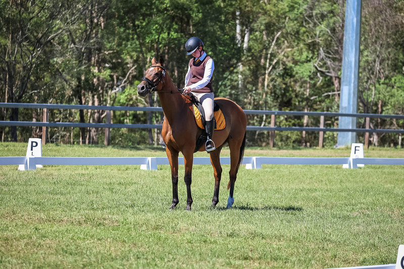 JPC Feb 2026 Dressage-6992.jpg