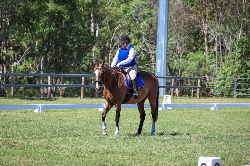 JPC Feb 2026 Dressage-6993.jpg