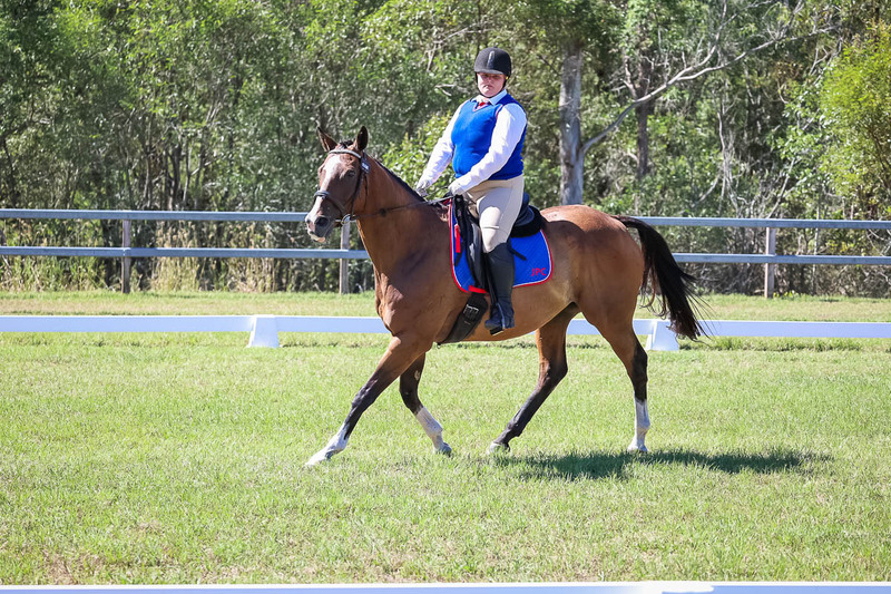 JPC Feb 2026 Dressage-6994.jpg