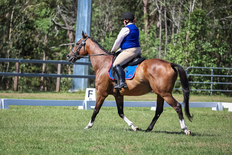 JPC Feb 2026 Dressage-6995.jpg