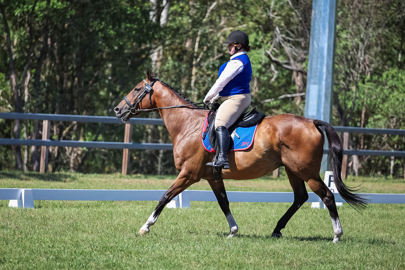 JPC Feb 2026 Dressage-6996.jpg