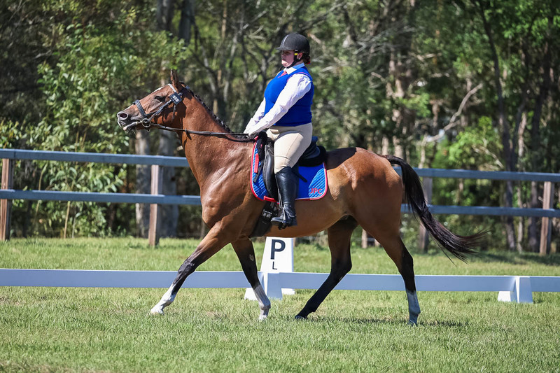 JPC Feb 2026 Dressage-6997.jpg
