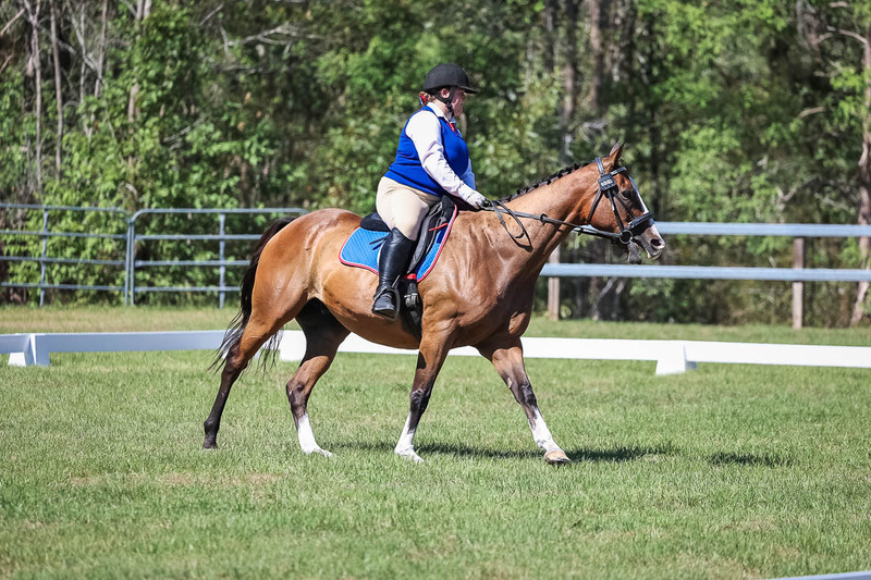 JPC Feb 2026 Dressage-6998.jpg
