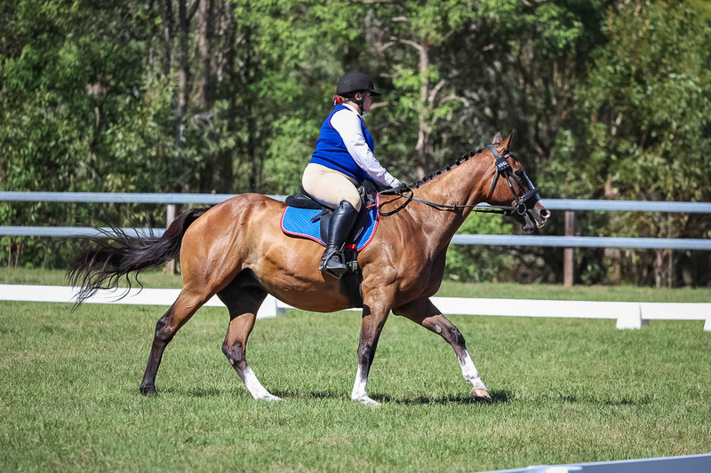 JPC Feb 2026 Dressage-6999.jpg
