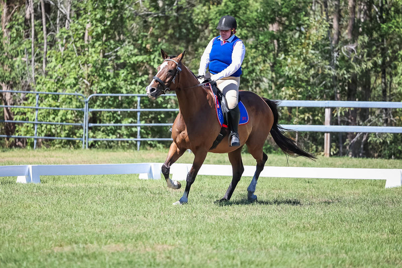 JPC Feb 2026 Dressage-7000.jpg