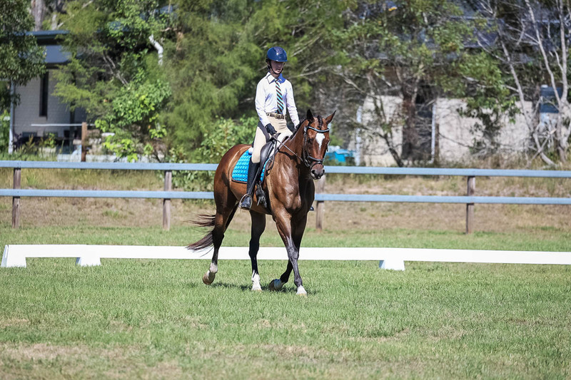 JPC Feb 2026 Dressage-7001.jpg