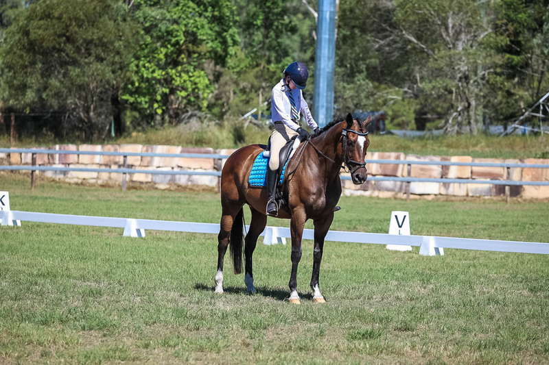 JPC Feb 2026 Dressage-7002.jpg