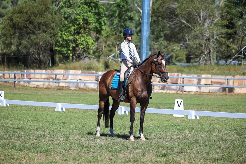 JPC Feb 2026 Dressage-7003.jpg