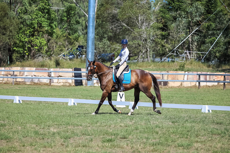 JPC Feb 2026 Dressage-7005.jpg